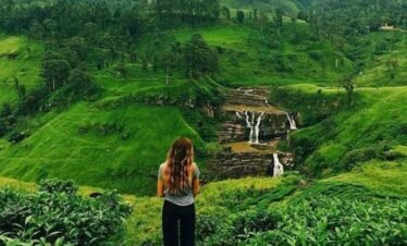Sri Lanka: The Pearl of the Indian Ocean (7 Days / 6 Nights)